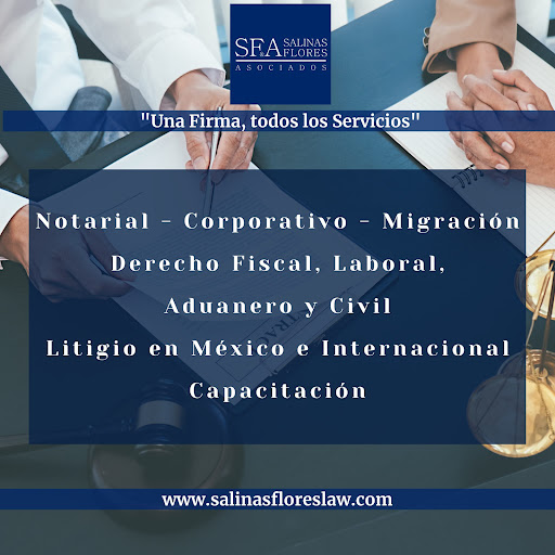 Perito Traductor Ingles Español