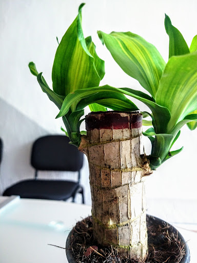 RN CORPORATIVO JURÍDICO