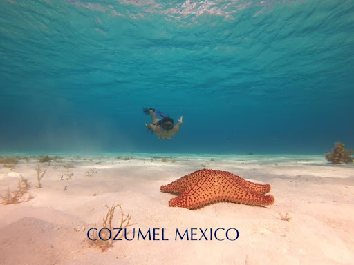 Cozumel Immigration Consultant & More