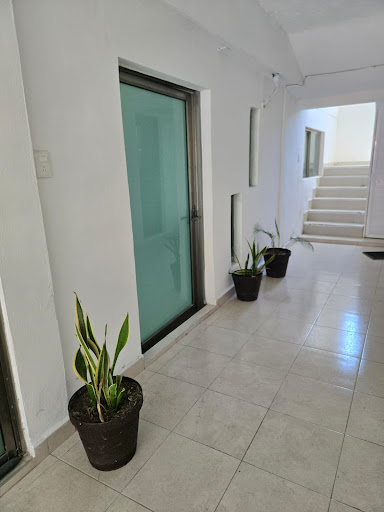 Anahí Prieto Graniel