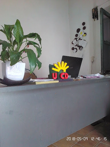 Abogada Soluciones de la tierra y el trabajo