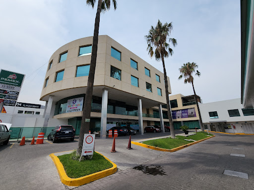 Aragón Nieves & Asociados