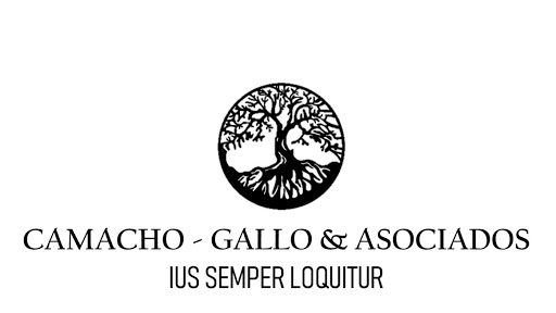 Camacho Gallo y Asociados S.C.