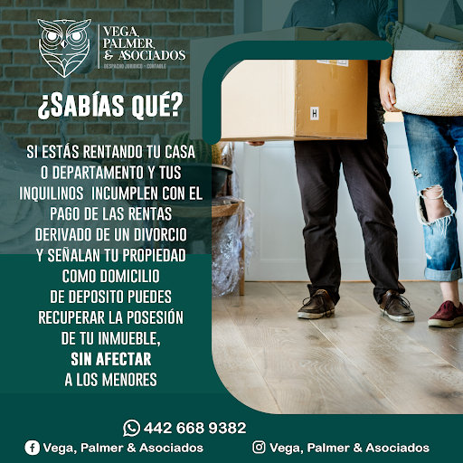 Vega Palmer & Asociados