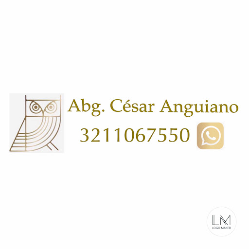 Asesoria Juridica Anguiano