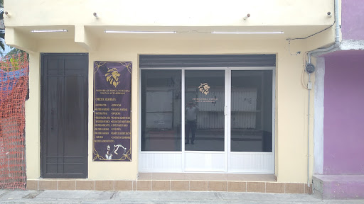 JURIDICO LEON & ALTAMIRANO