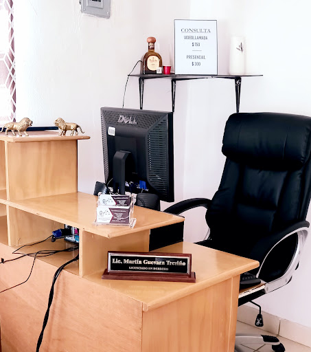 Despacho Legal Lic. Martín Guevara Treviño