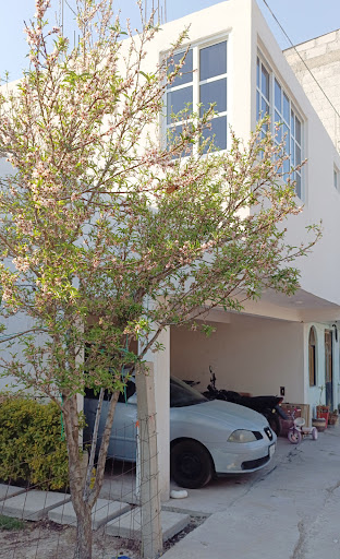 Despacho Jurídico "Legales Venado"