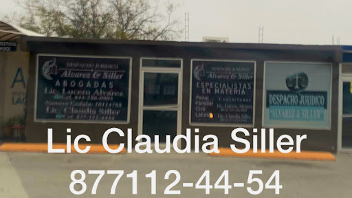 Abogada Lic Claudia Siller