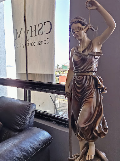 Abogados | CSHyM CONSULTORIA Y LITIGIO